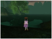 濃霧の森