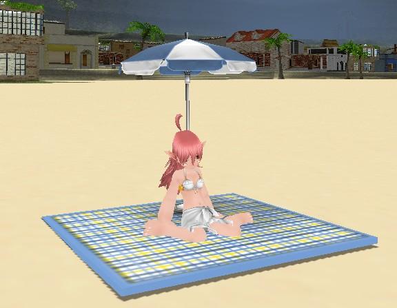 プライベート ビーチ