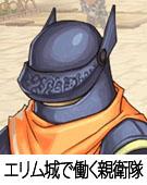 エリム城で働く親衛隊