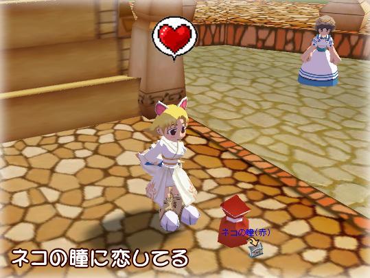 「ネコの瞳に鯉してる」イメージショット