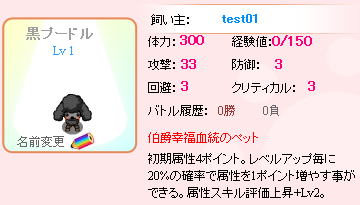 黒プードル